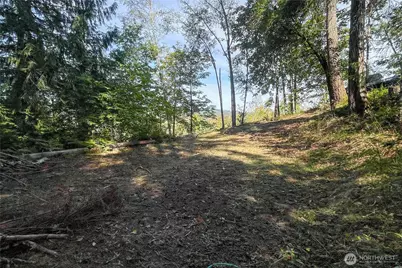 0 NE Wj Way, Belfair, WA 98528 - Photo 8