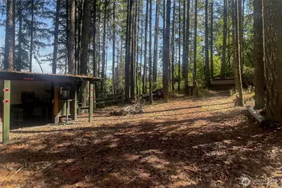 0 NE Wj Way, Belfair, WA 98528 - Photo 10