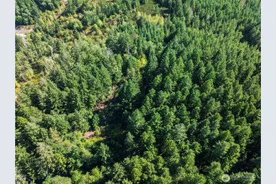 0 NE Wj Way, Belfair, WA 98528 - Photo 28