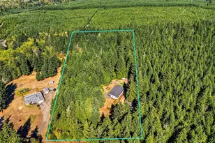 40 E Lavender Ln, Shelton, WA 98584 - Photo 2