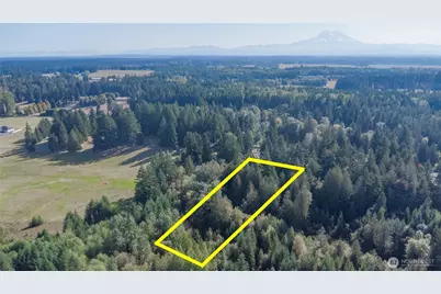30416 59th Avenue S, Roy, WA 98580 - Photo 30