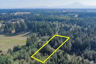 30416 59th Ave S, Roy, WA 98580 - Photo 30