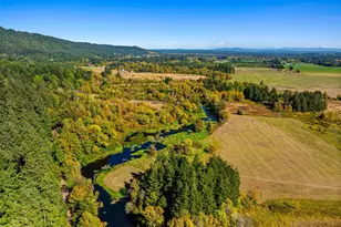 55 Sickman-Ford Rd, Oakville, WA 98568 - Photo 4