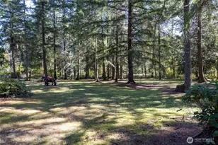 34724 48th Ave E, Eatonville, WA 98328 - Photo 38