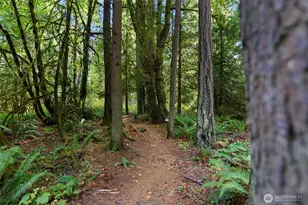 6894 NE Koura Rd, Bainbridge Island, WA 98110 - Photo 40