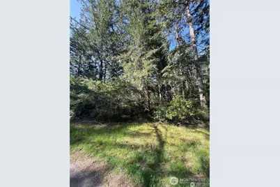 10702 Pioneer Drive, Anderson Island, WA 98303 - Photo 6