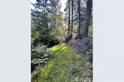10702 Pioneer Drive, Anderson Island, WA 98303 - Photo 4