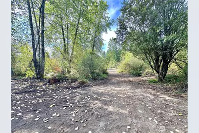 716 390th Street, Roy, WA 98580 - Photo 30