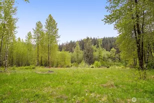 31212 Mountain Loop Hwy, Granite Falls, WA 98252 - Photo 28