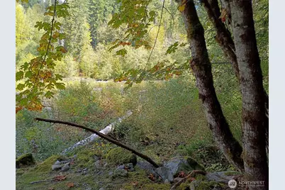 75900 NE 123rd Street, Skykomish, WA 98288 - Photo 28