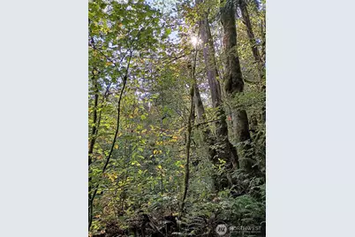 75900 NE 123rd Street, Skykomish, WA 98288 - Photo 8