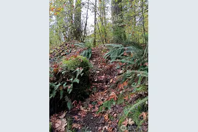 75900 NE 123rd Street, Skykomish, WA 98288 - Photo 38