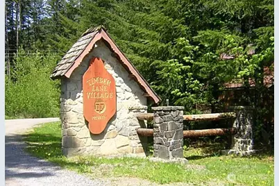 75900 NE 123rd Street, Skykomish, WA 98288 - Photo 2