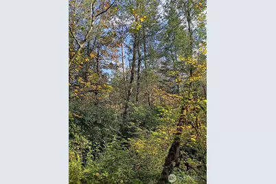 75900 NE 123rd Street, Skykomish, WA 98288 - Photo 10