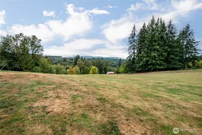 204 Vogel Road, Castle Rock, WA 98611 - Photo 28