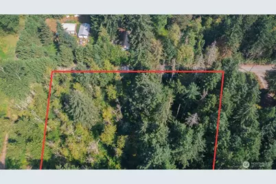 15903 246th Street E, Graham, WA 98338 - Photo 6
