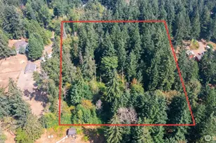 15903 246th St E, Graham, WA 98338 - Photo 1