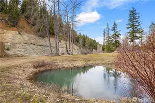4010 Teanaway Middle Fork Rd, Cle Elum, WA 98922 - Photo 16