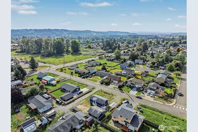 116 3rd Avenue NW, Pacific, WA 98047 - Photo 28