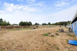 4101 Violet Ct SW, Rochester, WA 98579 - Photo 20