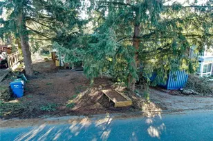 317 N 138th St, Seattle, WA 98133 - Photo 6
