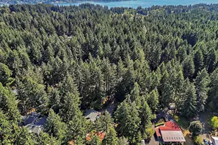 10017 137th St NW, Gig Harbor, WA 98329 - Photo 22