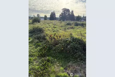 316 3rd Avenue N, Algona, WA 98001 - Photo 2