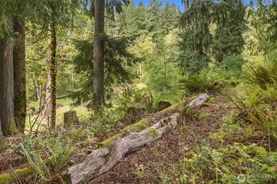 26209 156th Street E, Buckley, WA 98321 - Photo 20