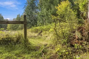 26209 156th St E, Buckley, WA 98321 - Photo 16