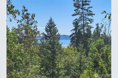 201 Mount Jupiter Road, Brinnon, WA 98445 - Photo 2