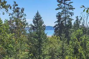 201 Mt Jupiter Rd, Brinnon, WA 98445 - Photo 2