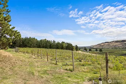 2031 Cleman Drive, Naches, WA 98937 - Photo 14