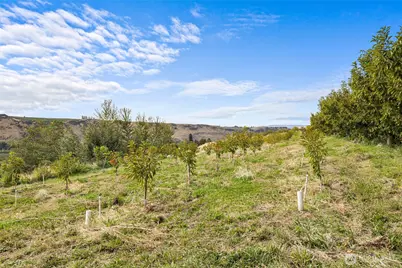 2031 Cleman Drive, Naches, WA 98937 - Photo 10