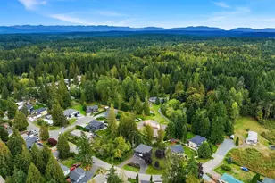 10002 228th Pl SE, Woodinville, WA 98077 - Photo 40