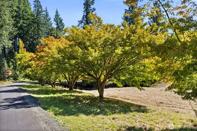 4130 40th Lane SW, Olympia, WA 98512 - Photo 16