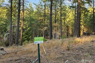 131 Gold Leaf Ln, Cle Elum, WA 98922 - Photo 8