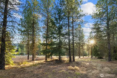 131 Gold Leaf Lane, Cle Elum, WA 98922 - Photo 10