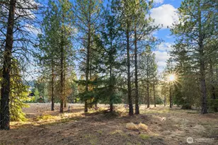 131 Gold Leaf Ln, Cle Elum, WA 98922 - Photo 10