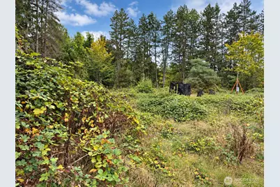 18646 Byers Road SE, Maple Valley, WA 98038 - Photo 6