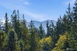 62 Holley Circle, Port Angeles, WA 98362 - Photo 8