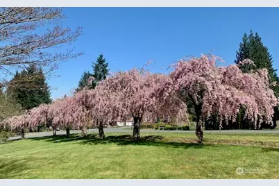 17465 NE 163rd Place, Woodinville, WA 98072 - Photo 32