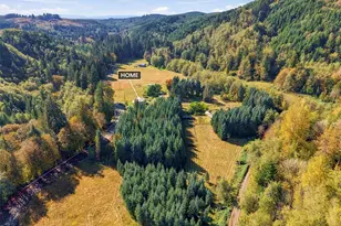 555 Pigeon Springs Rd, Onalaska, WA 98570 - Photo 4