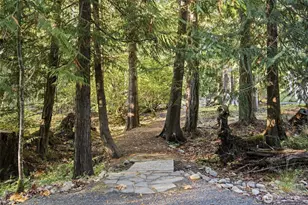 252 N Bagley Creek Rd, Port Angeles, WA 98362 - Photo 26