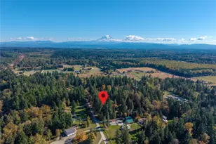 1918 290th St E, Roy, WA 98580 - Photo 36
