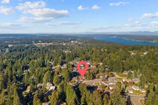15010 SE 46th Way, Bellevue, WA 98006 - Photo 38