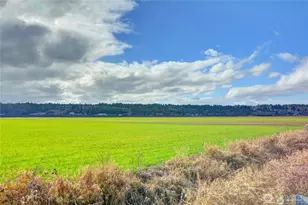 6910 Marsh Rd, Snohomish, WA 98296 - Photo 1