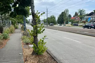 5305 Martin Luther King Jr Way S, Seattle, WA 98118 - Photo 30