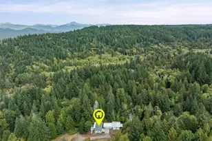 211 NE Yew Tree Ln, Tahuya, WA 98588 - Photo 34