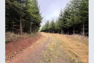 19 Xx Bunker Creek Road, Chehalis, WA 98532 - Photo 4