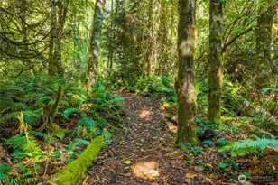 8132 NE Yeti Ln, Bainbridge Island, WA 98110 - Photo 28